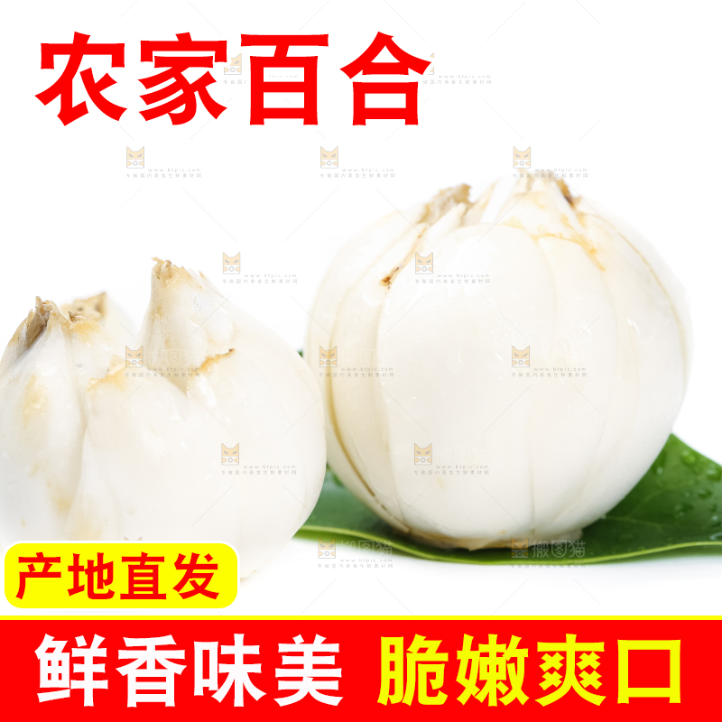 白底上摆放着农家百合