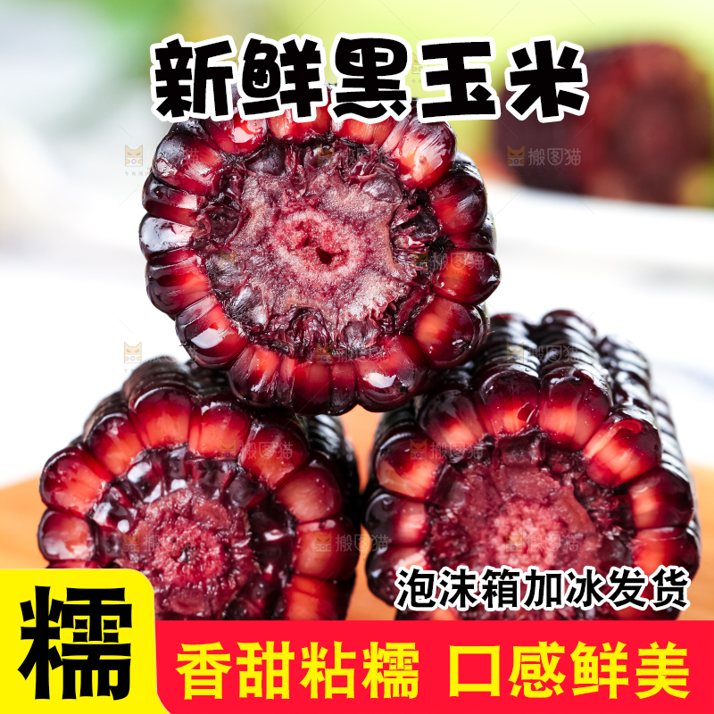 木底上摆放着东北黑玉米