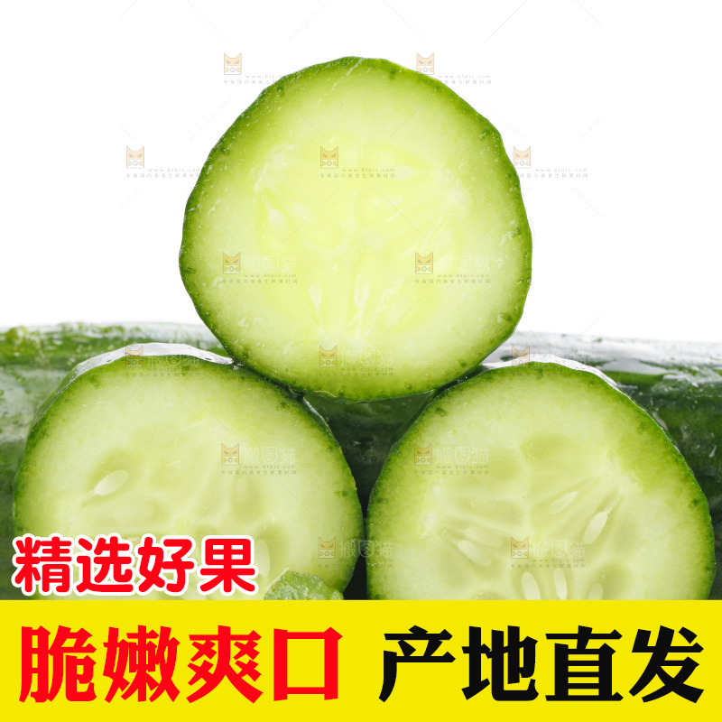 白底上放着切段的小黄瓜