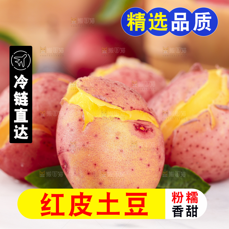 白底上放着土豆
