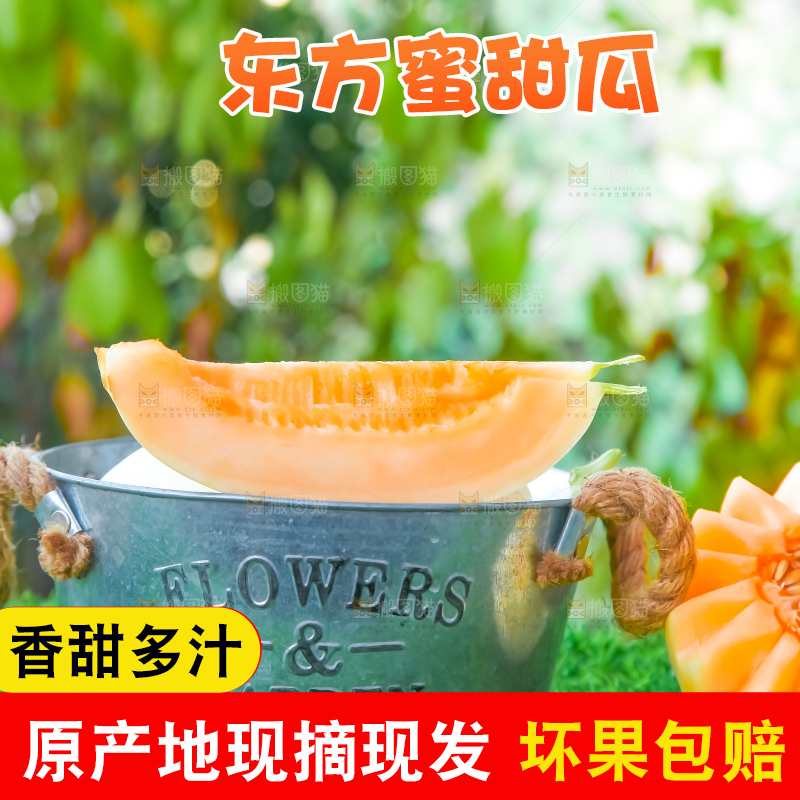 草地上放着蜜瓜