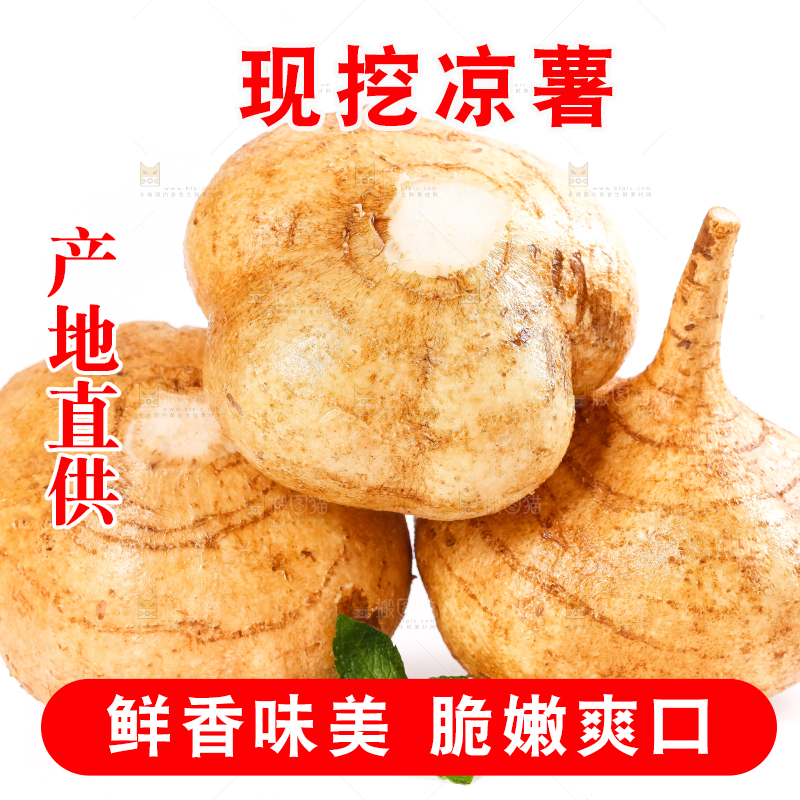 白底上放着凉薯
