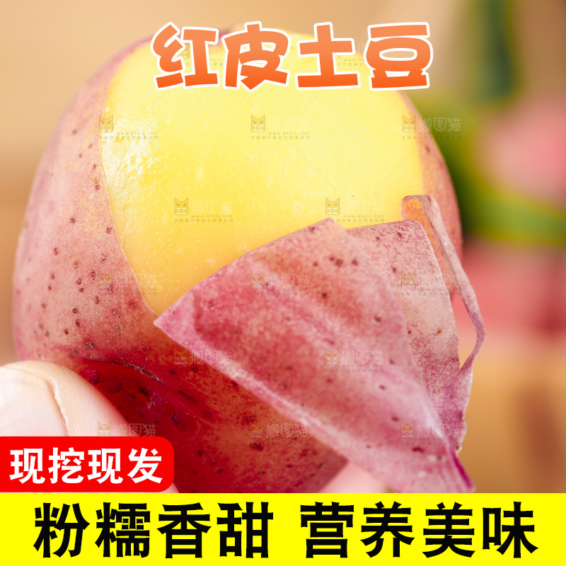 手里拿着红皮土豆
