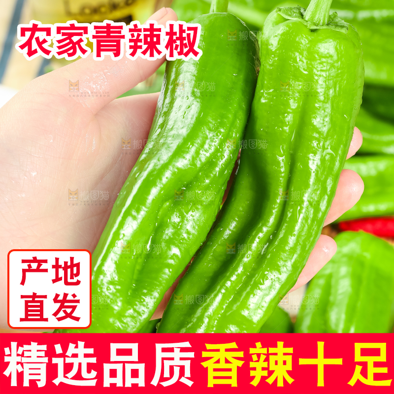 手里拿着青椒
