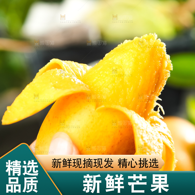 手里拿着小台芒
