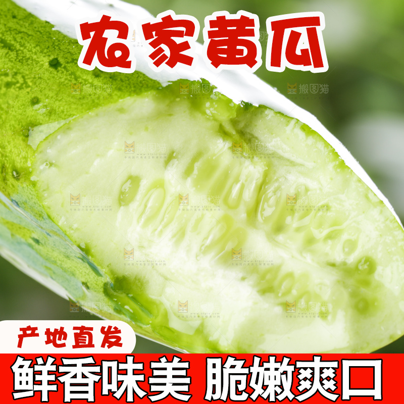 手里拿着青瓜