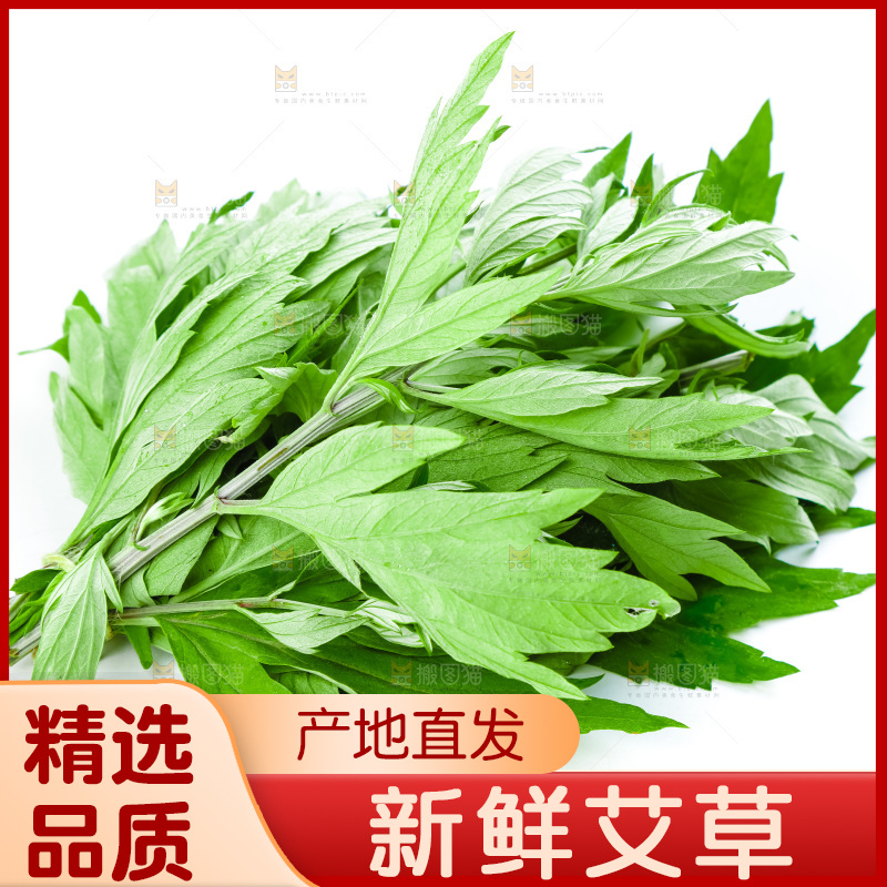 白底上放着艾草叶