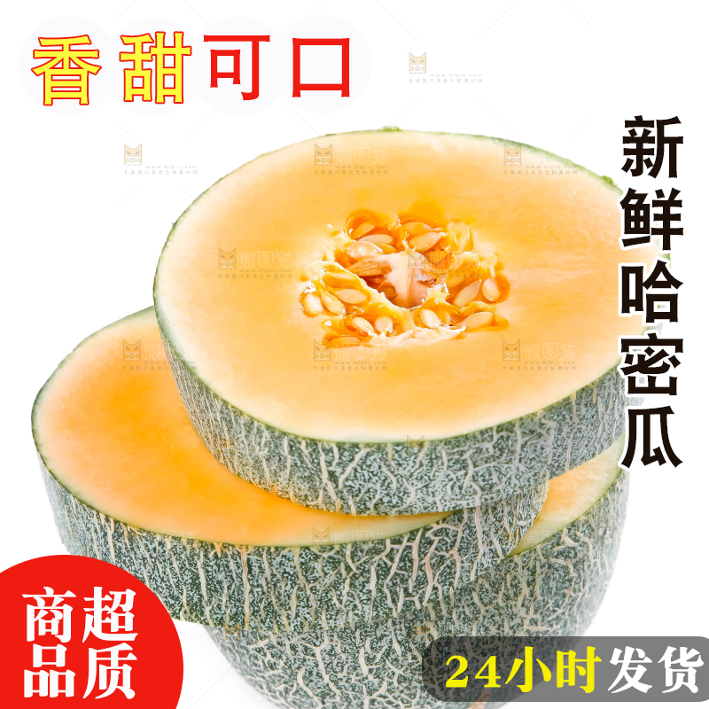 白底上摆放着网纹瓜