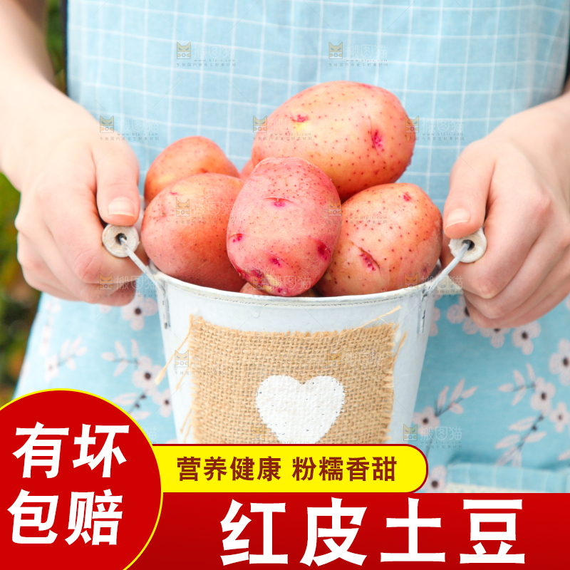 小桶里装着红皮土豆