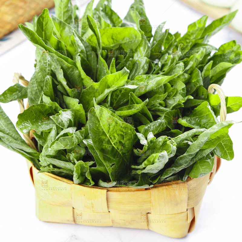 篮子里装着苋菜