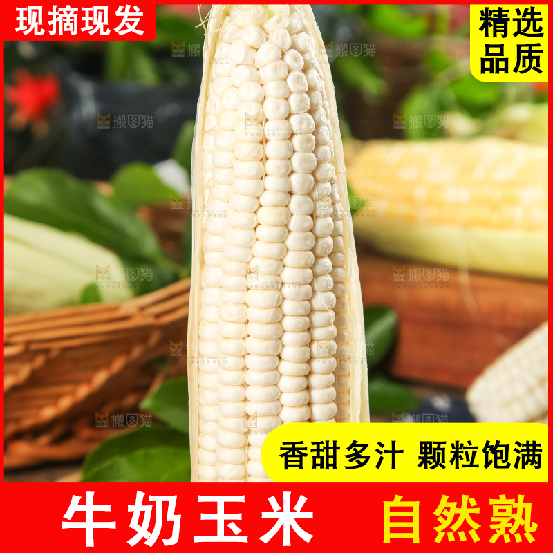 编织垫上放着玉米