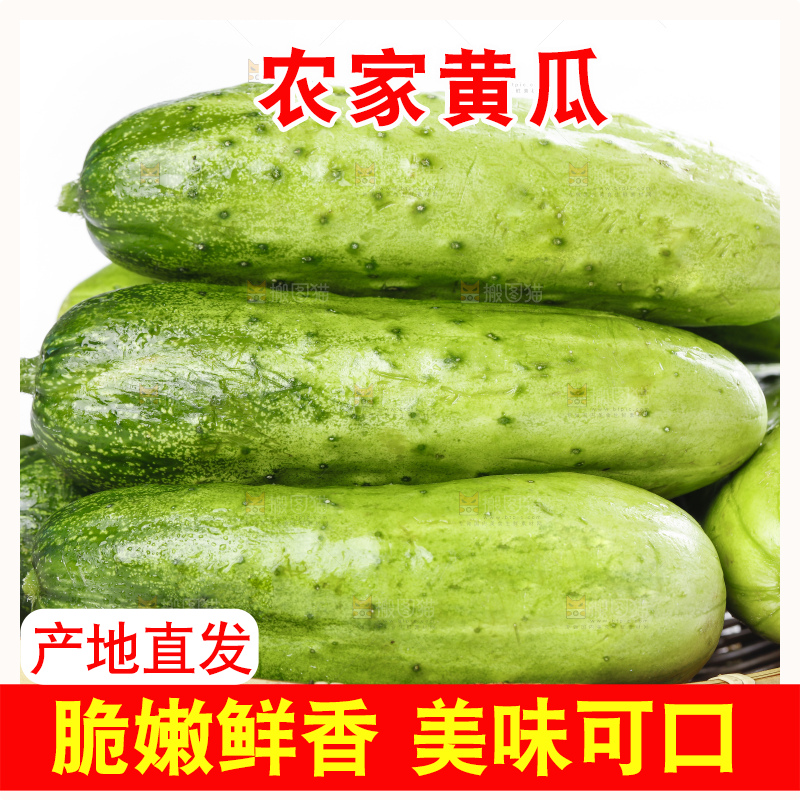 篮子里装着蔬菜黄瓜