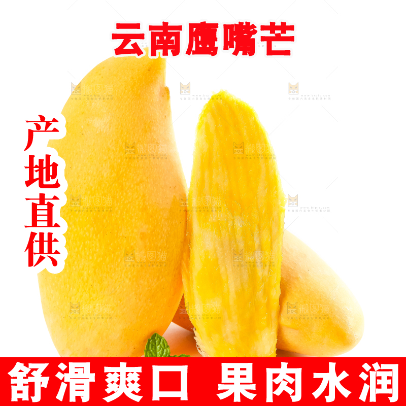 白底上放着云南鹰嘴芒