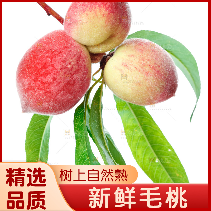 白底上摆放着毛桃