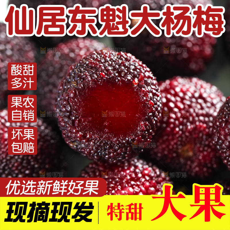 浅底上摆放着高山大杨梅
