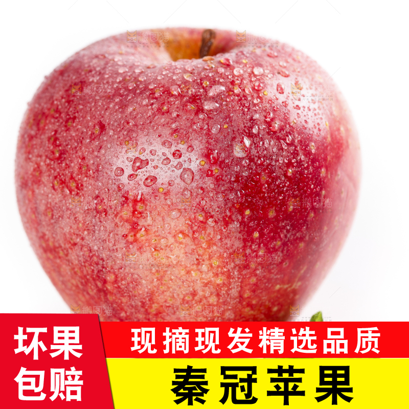 白底上摆放着秦冠苹果