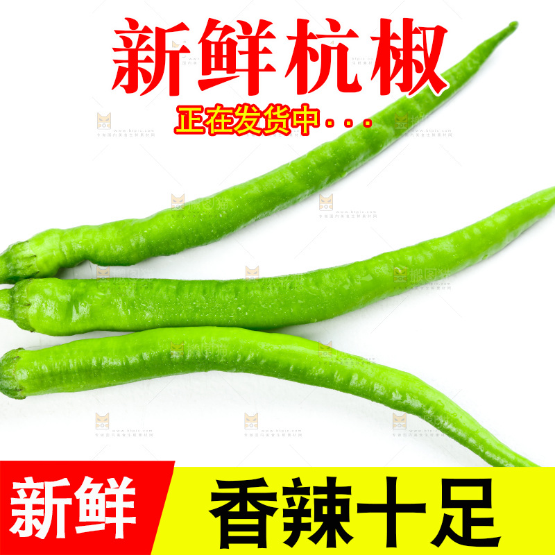 白底上放着青杭椒
