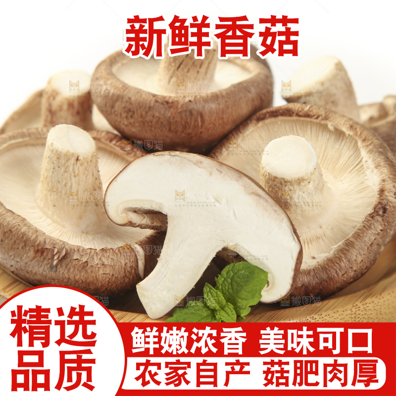 盘子里装着新鲜香菇