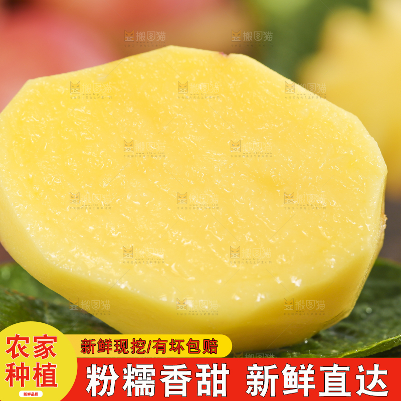 木底上摆放着土豆