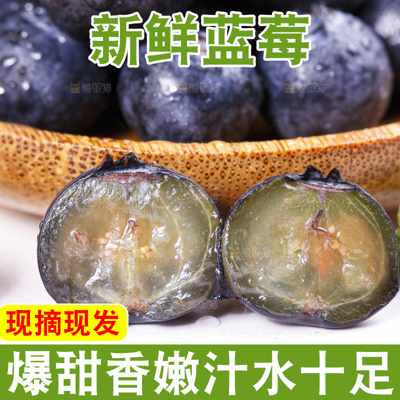 碟子里装着蓝莓果