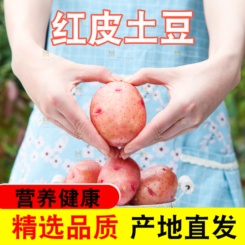 小桶里装着红皮土豆