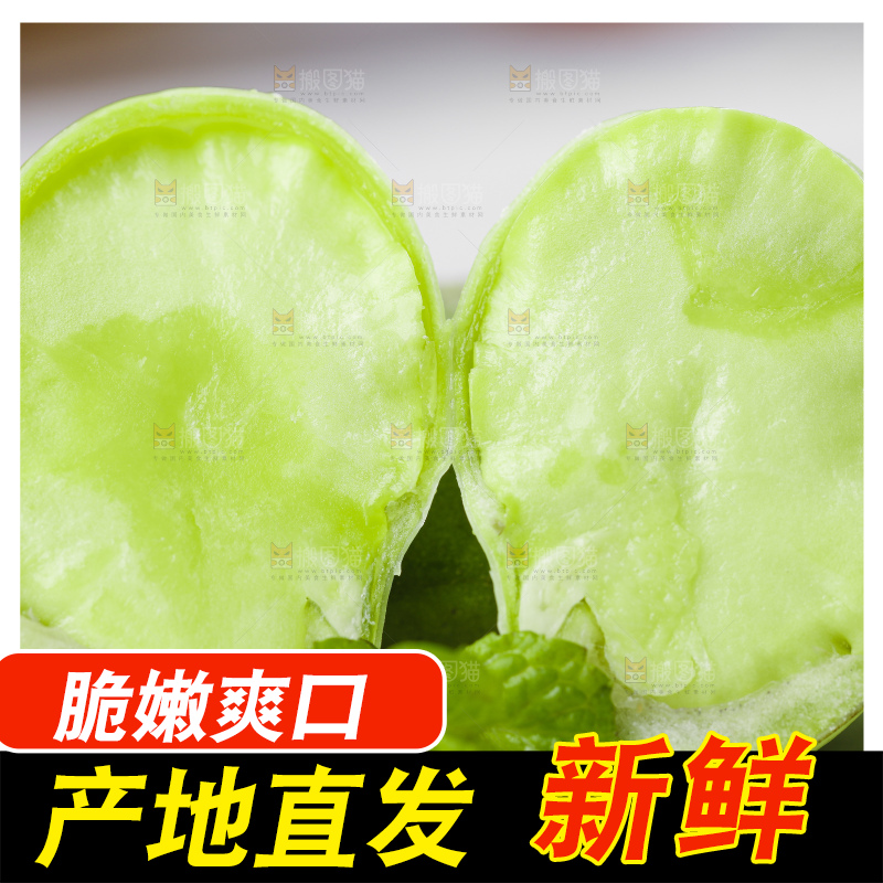 白底上放着青胡豆