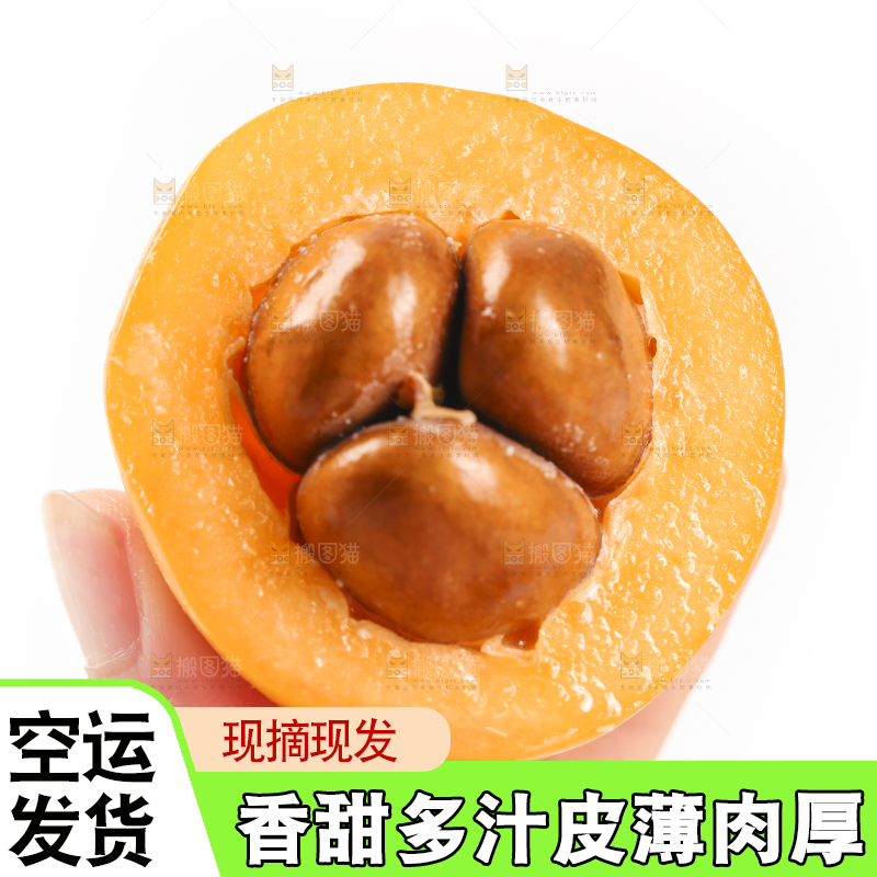 手里拿着枇杷