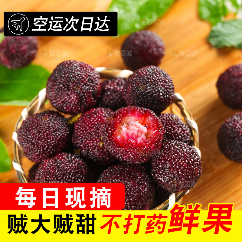 篮子里装着高山大杨梅