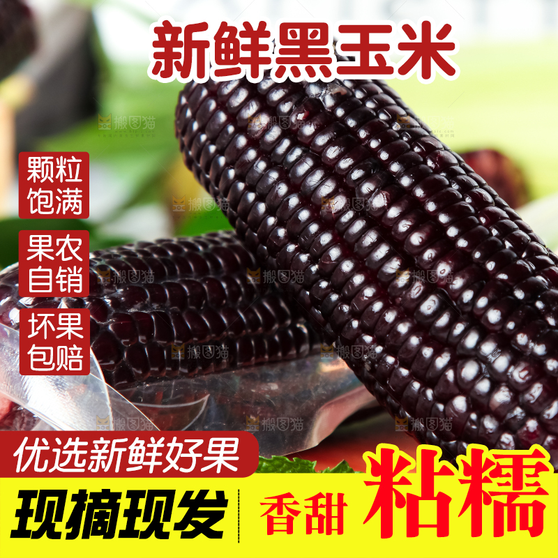 木底上放着东北黑玉米