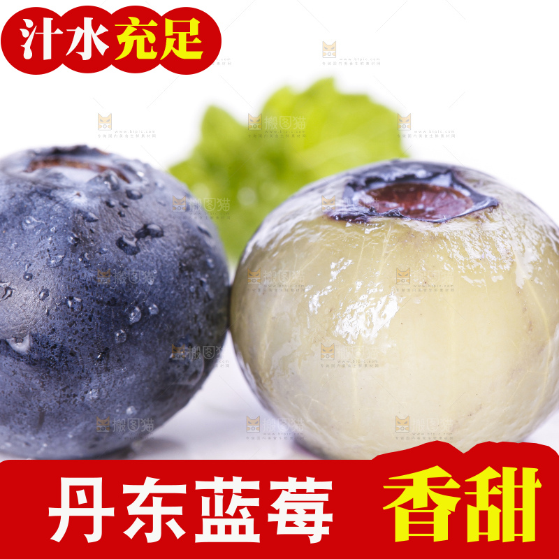 白底上摆放着进口蓝莓