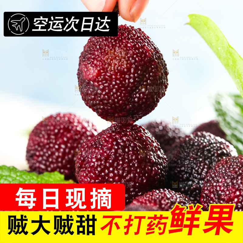 篮子里装着东魁杨梅