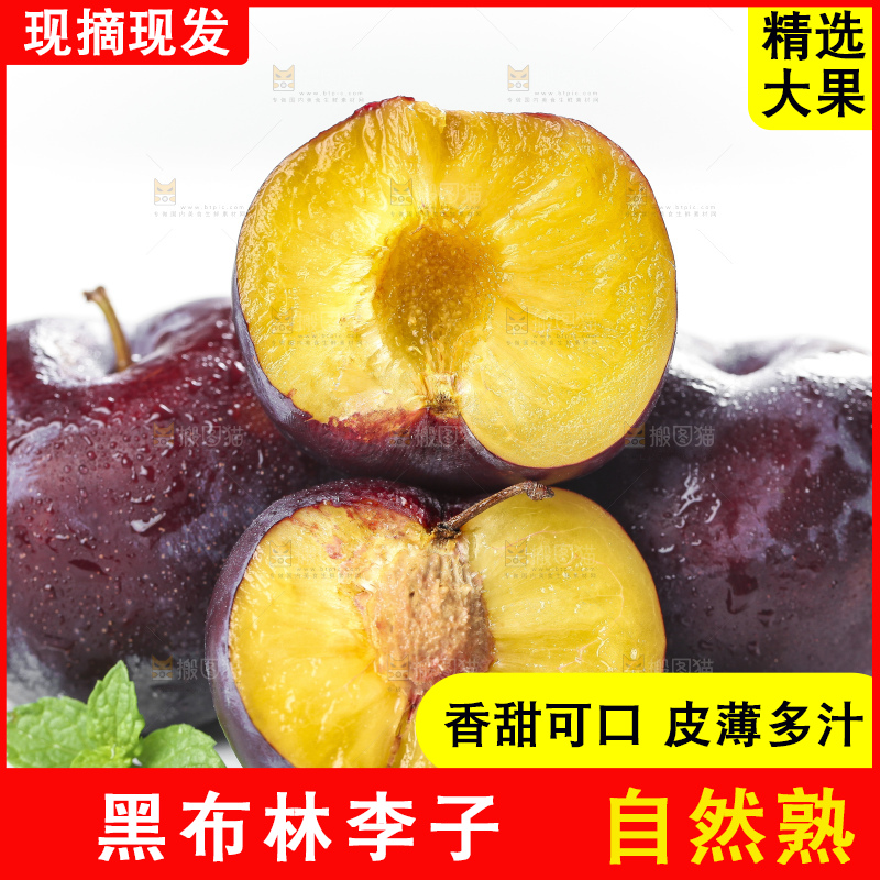 白底上放着黑布李