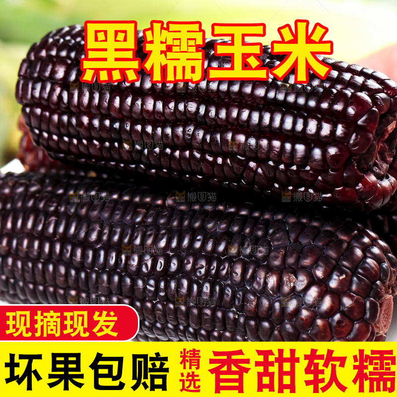 盘子里放着紫玉米