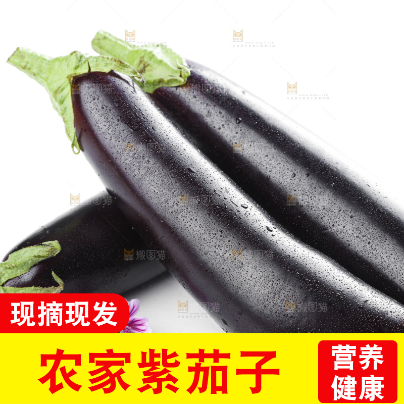 白底上摆放着紫茄子