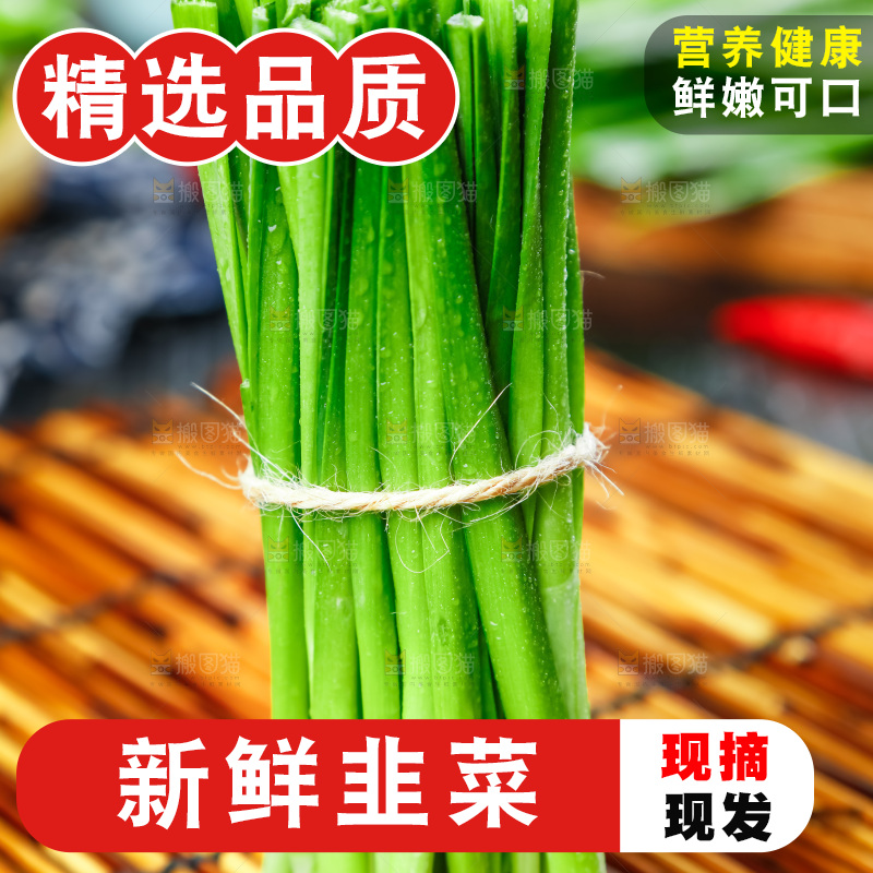 深底上摆放着山东韭菜