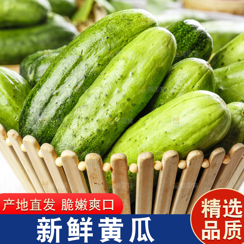 篮子里装着新鲜黄瓜
