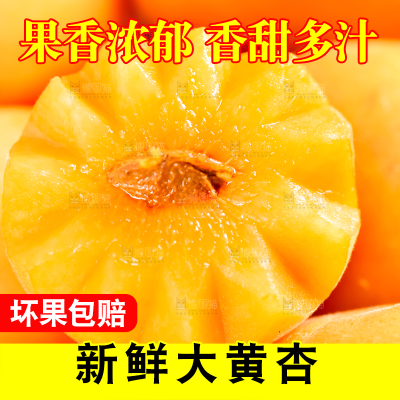 篮子里装着金太阳大黄杏