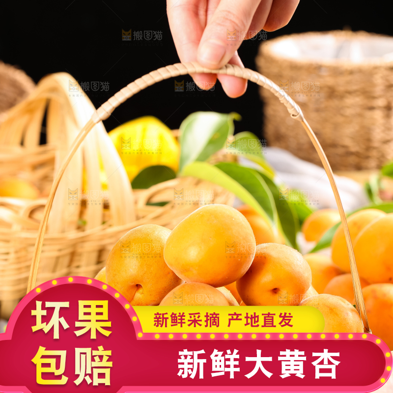 手里拿着一篮山东大黄杏