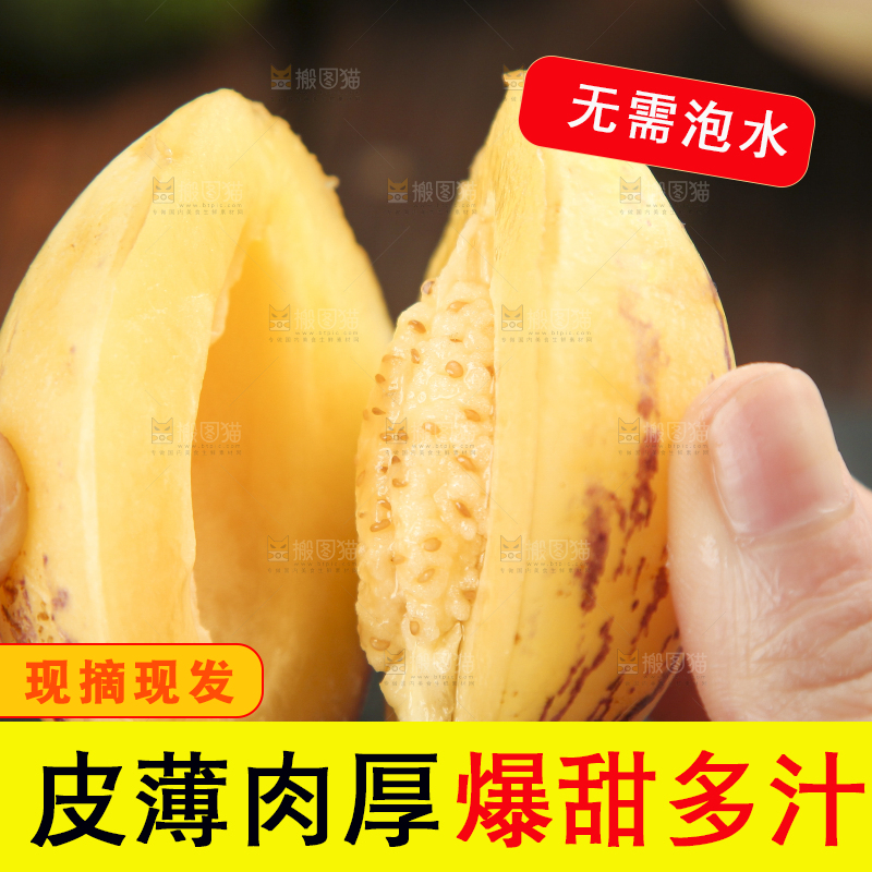手里拿着人参圆果