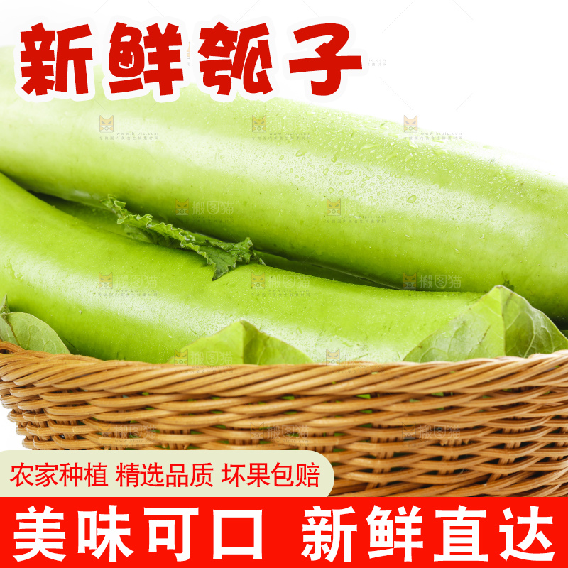 篮子里放着瓠子