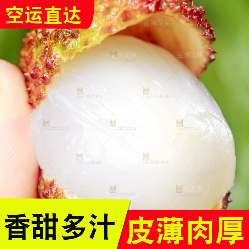 手里拿着妃子笑荔枝