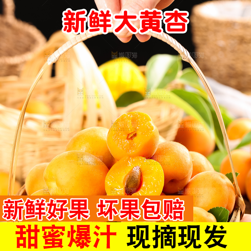 手里拿着一篮山东大黄杏