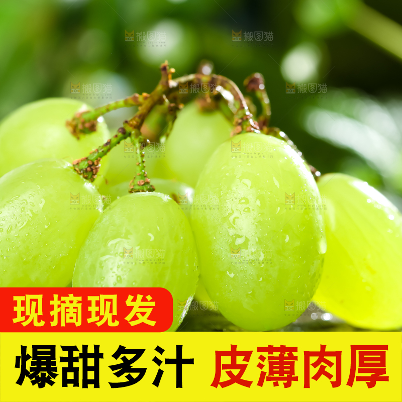 石板上放着澳洲无籽青提