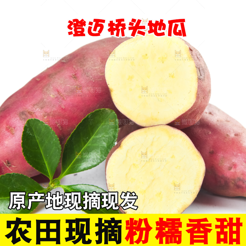 白底上放着海南桥头地瓜