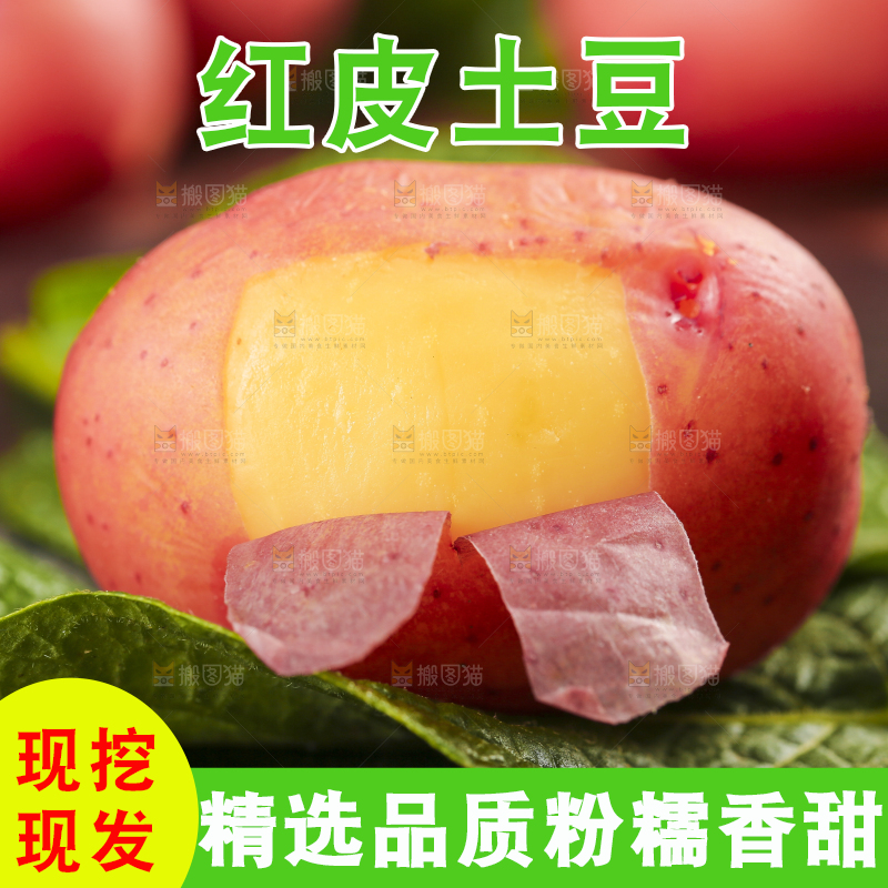树叶上摆放着土豆