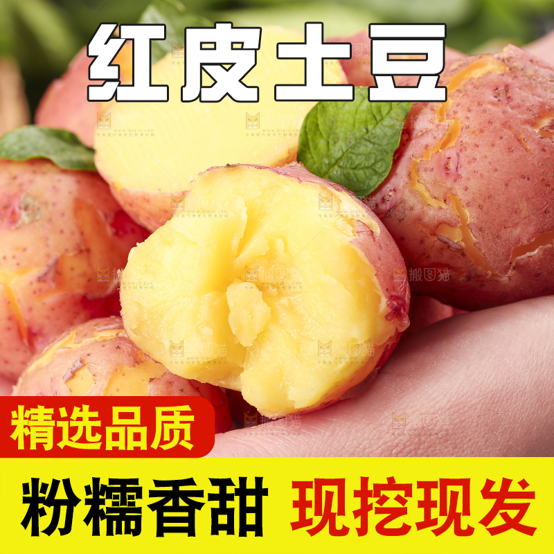 手里拿着红皮土豆