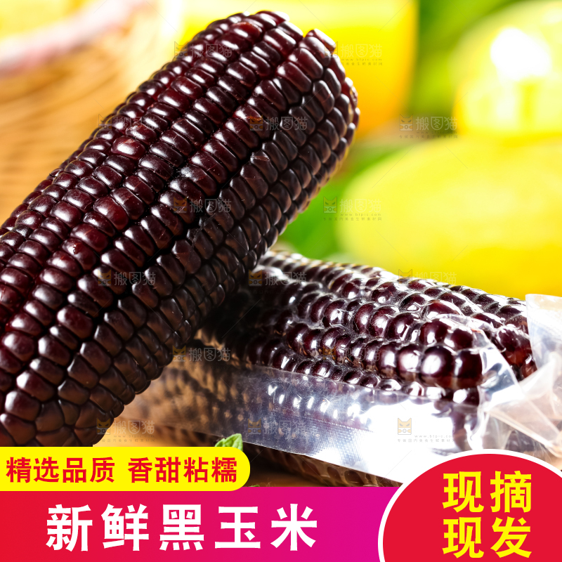 木底上放着黑玉米