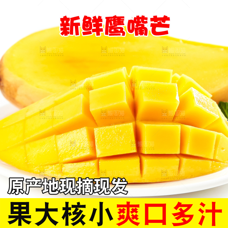白底上放着云南鹰嘴芒