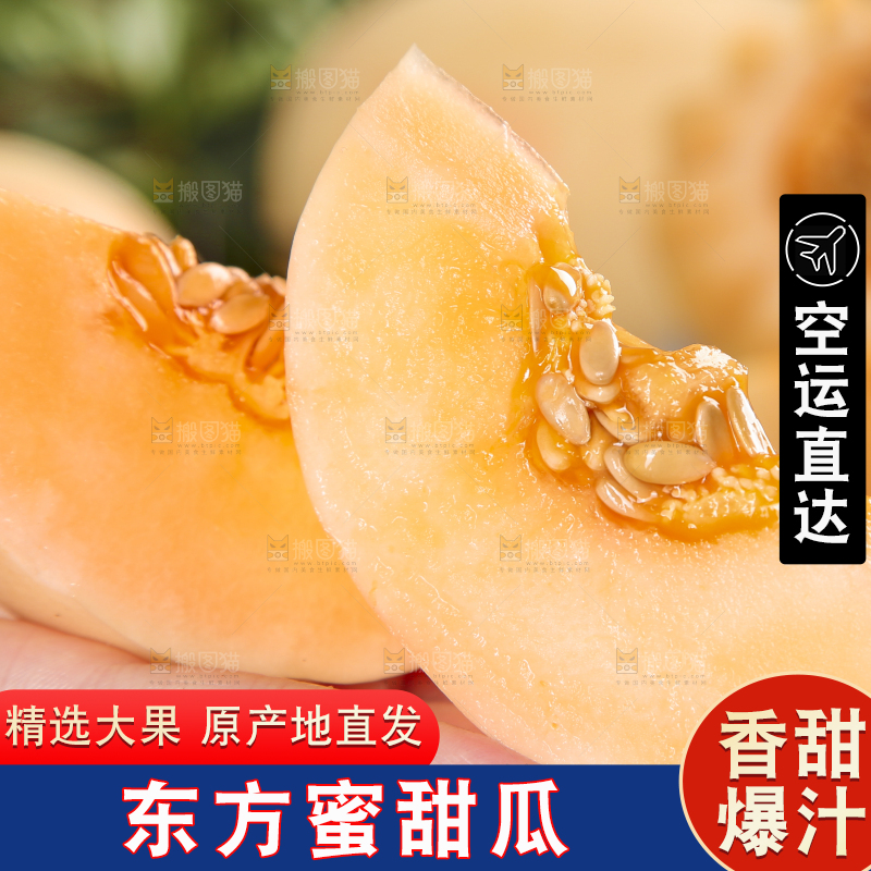 手里拿着东方蜜甜瓜