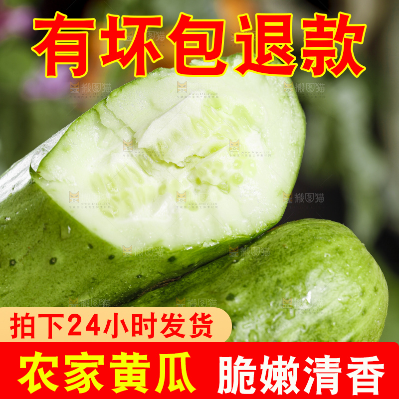 手里拿着嫩黄瓜